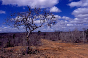 Jacobina panorama '98 (4)_ridotto